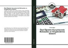 Özel Öğretim Kurumlarında Muhasebe ve Vergilendirme Sistemi kitap kapağı