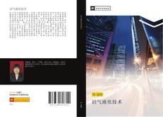 Bookcover of 沼气液化技术