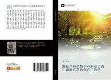 Bookcover of 濒危兰科植物华石斛基于内生菌根真菌的保育生物学
