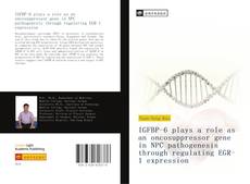 Copertina di IGFBP-6 plays a role as an oncosuppressor gene in NPC pathogenesis through regulating EGR-1 expression