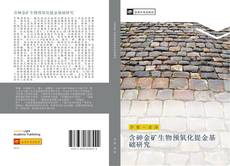 Capa do livro de 含砷金矿生物预氧化提金基础研究 
