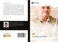 Bookcover of 齐力拍商业计划书