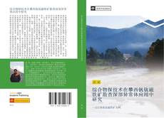 Bookcover of 综合物探技术在攀西钒钛磁铁矿勘查深部异常体应用中研究
