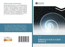Capa do livro de 模糊图的持续路径同调和网络距离 