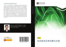 Capa do livro de 低价铌氧化物电解电容器 