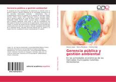 Gerencia pública y gestión ambiental kitap kapağı