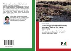 Buchcover von Monitoraggio del flusso di CO2 su terreni torbosi del basso Veneziano