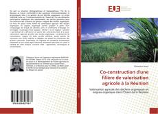 Borítókép a  Co-construction d'une filière de valorisation agricole à la Réunion - hoz