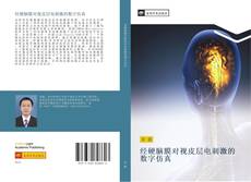 Capa do livro de 经硬脑膜对视皮层电刺激的数字仿真 