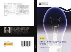 Capa do livro de PMN-PT和NBT铁电单晶的光学性质 