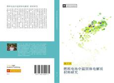 Bookcover of 燃料电池中温固体电解质 材料研究