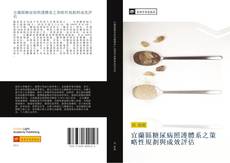 Capa do livro de 宜蘭縣糖尿病照護體系之策略性規劃與成效評估 