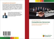 Competências Gerenciais kitap kapağı