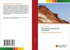 Buchcover von Desastres naturais na Amazônia