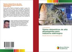 Buchcover von Tijolos dolomíticos de alto desempenho para indústria siderúrgica