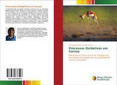 Processos Oxidativos em Carnes kitap kapağı