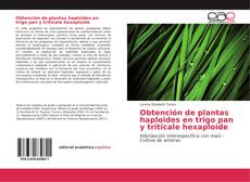 Obtención de plantas haploides en trigo pan y triticale hexaploide kitap kapağı