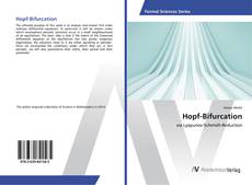 Hopf-Bifurcation kitap kapağı