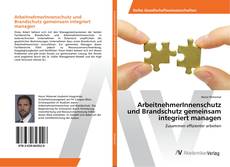 Copertina di ArbeitnehmerInnenschutz und Brandschutz gemeinsam integriert managen