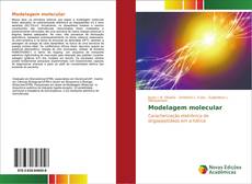 Modelagem molecular kitap kapağı