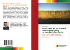 Capa do livro de Poluição do Ar derivado de queimadas de cana no estado de São Paulo 