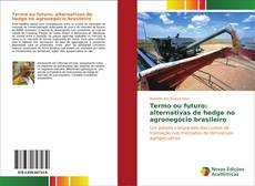 Buchcover von Termo ou futuro: alternativas de hedge no agronegócio brasileiro