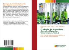 Bookcover of Produção de fermentado de umbu (Spondias tuberosa Arr. Cam.)