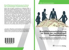 Buchcover von Brachflächenrevitalisierung im Sinne der nachhaltigen Stadtentwicklung