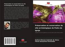 Préservation et conservation du site archéologique de Pedra da Igreja的封面