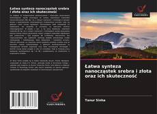 Portada del libro de Łatwa synteza nanocząstek srebra i złota oraz ich skuteczność