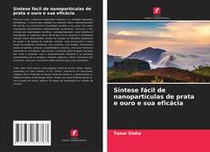 Síntese fácil de nanopartículas de prata e ouro e sua eficácia的封面