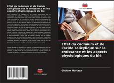 Portada del libro de Effet du cadmium et de l'acide salicylique sur la croissance et les aspects physiologiques du blé