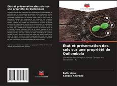 Borítókép a  État et préservation des sols sur une propriété de Quilombola - hoz