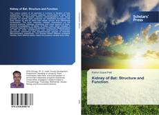Bookcover of Kidney of Bat: Structure and Function