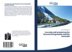 Bookcover of Lovvalg ved erstatning for forurensningsskade utenfor kontrakt