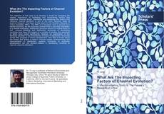 Bookcover of What Are The Impacting Factors of Channel Evolution?