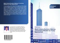 Copertina di Multi Criteria Decision Making in Inventory Models by Fuzzy Approaches