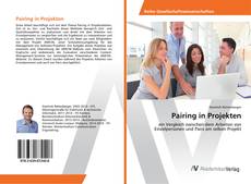 Copertina di Pairing in Projekten