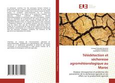 Copertina di Télédétection et sécheresse agrométéorologique au Maroc