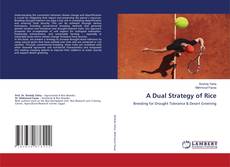 A Dual Strategy of Rice kitap kapağı