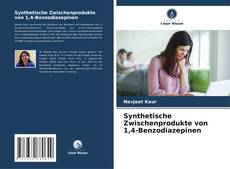 Capa do livro de Synthetische Zwischenprodukte von 1,4-Benzodiazepinen 