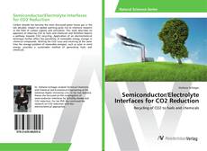 Copertina di Semiconductor/Electrolyte Interfaces for CO2 Reduction