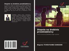 Couverture de Stopnie na drabinie przedsiębiorcy