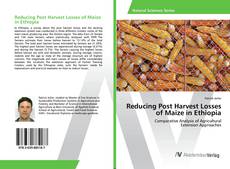 Copertina di Reducing Post Harvest Losses of Maize in Ethiopia