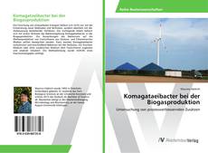 Copertina di Komagataeibacter bei der Biogasproduktion