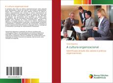 A cultura organizacional kitap kapağı