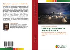 Bookcover of Estruvita: recuperação de fósforo do esgoto