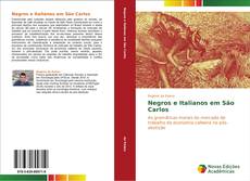 Negros e Italianos em São Carlos kitap kapağı