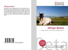 Bookcover of Affinger Becken