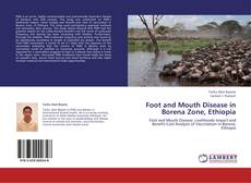 Foot and Mouth Disease in Borena Zone, Ethiopia kitap kapağı